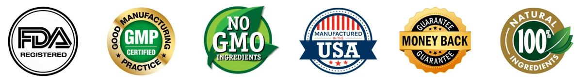 Synadentix Certification